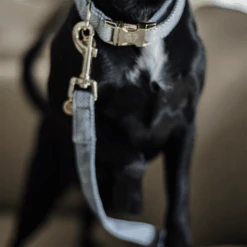 Kentucky Dogwear Hundeleine Wool 21 Kentucky Dogwear Hundeleine Wool -Happy Hundchen Geschaft kentucky dogwear hondenlijn wool 219689 0500 none