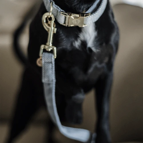 Kentucky Dogwear Hundeleine Wool 8 Kentucky Dogwear Hundeleine Wool – Bild 6