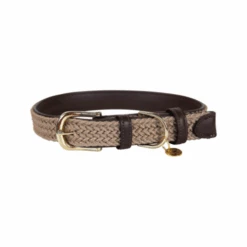 Kentucky Dogwear Nylon Hundehalsband 12 Kentucky Dogwear Nylon Hundehalsband -Happy Hundchen Geschaft kentucky dogwear nylon hondenhalsband 219176 0500 none