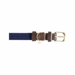 Kentucky Dogwear Nylon Hundehalsband 9 Kentucky Dogwear Nylon Hundehalsband -Happy Hundchen Geschaft kentucky dogwear nylon hondenhalsband 219177 0500 none