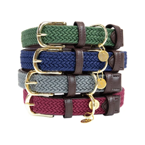 Kentucky Dogwear Nylon Hundehalsband 3 Kentucky Dogwear Nylon Hundehalsband