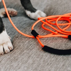 Kentucky Dogwear Schleppleine Soft Rubber -Happy Hundchen Geschaft kentucky dogwear sleeplijn soft rubber 219203 0500 none