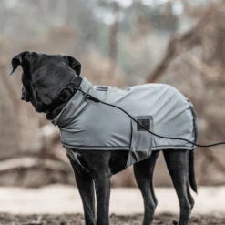 Kentucky Dogwear Soft Rubber Hundehalsband -Happy Hundchen Geschaft kentucky dogwear soft rubber hondenhalsband 219265 0500 none