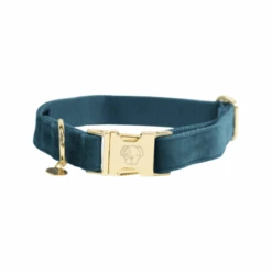 Kentucky Dogwear Velvet Hundehalsband 23 Kentucky Dogwear Velvet Hundehalsband -Happy Hundchen Geschaft kentucky dogwear velvet hondenhalsband 219231 0500 none