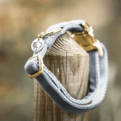 Kentucky Dogwear Velvet Hundehalsband 25 Kentucky Dogwear Velvet Hundehalsband -Happy Hundchen Geschaft kentucky dogwear velvet hondenhalsband 219236 0500 none