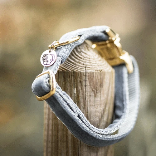 Kentucky Dogwear Velvet Hundehalsband 14 Kentucky Dogwear Velvet Hundehalsband – Bild 12