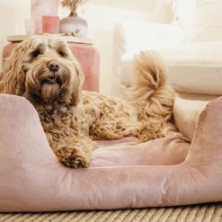 Kentucky Dogwear Velvet Hundekorb 8 Kentucky Dogwear Velvet Hundekorb -Happy Hundchen Geschaft kentucky dogwear velvet hondenmand 219658 0500 none