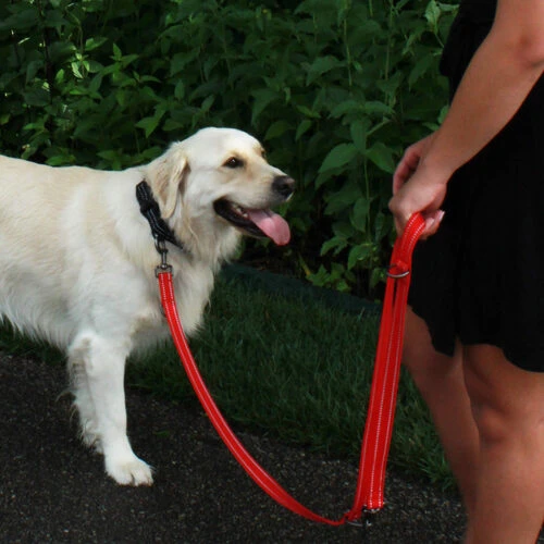 KONG Adjustable Leash 4 KONG Adjustable Leash – Bild 2