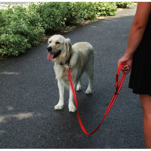 KONG Adjustable Leash 5 KONG Adjustable Leash – Bild 3