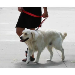 KONG Adjustable Leash 11 KONG Adjustable Leash -Happy Hundchen Geschaft kong adjustable leash zwart 176941 0500 none