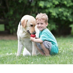 KONG Classic -Happy Hundchen Geschaft kong classic 98642 0500 none