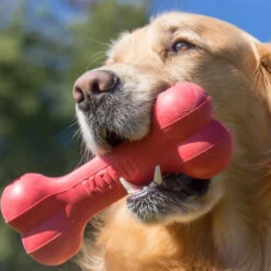 KONG Goodie Bone -Happy Hundchen Geschaft kong goodie bone 194186 0500 none