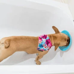 LickiMat Splash -Happy Hundchen Geschaft lickimat splash 164212 0500 none