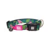 Max & Molly Smart ID Halsband Tropical 1 Max & Molly Smart ID Halsband Tropical -Happy Hundchen Geschaft max molly smart id halsband tropical 184288 0500 none