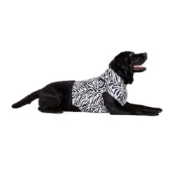 Medical Pet Top Shirt Zebra -Happy Hundchen Geschaft medical pet top shirt zebraprint 150704 0500 none