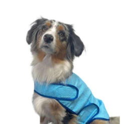 Nobby Cooling Vest 5 Nobby Cooling Vest -Happy Hundchen Geschaft nobby cooling vest 222498 0500 none