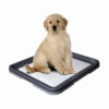 Nobby Doggy Trainer & Pads -Happy Hundchen Geschaft nobby doggy trainer 130274 0500 none