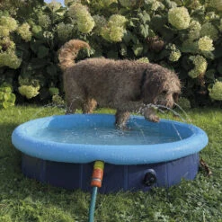 Nobby Hundepool Mit Sprinkler -Happy Hundchen Geschaft nobby hondenzwembad met fontein 204254 0500 none