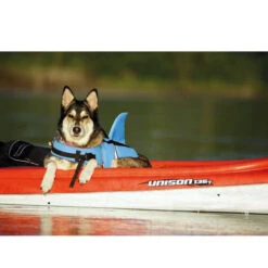 Nobby Hundeschwimmweste Sharki -Happy Hundchen Geschaft nobby sharki hondenzwemvest 221666 0500 none