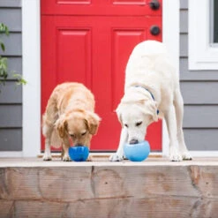 Planet Dog Orbee-Tuff Lil’ Snoop Toy -Happy Hundchen Geschaft orbee tuff lil snoop toy 203408 0500 none