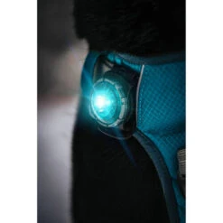 Orbiloc Dog Dual Safety Light 20 Orbiloc Dog Dual Safety Light -Happy Hundchen Geschaft orbiloc led veiligheidslamp 188103 0500 none