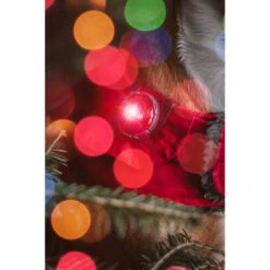 Orbiloc Dog Dual Safety Light 19 Orbiloc Dog Dual Safety Light -Happy Hundchen Geschaft orbiloc led veiligheidslamp 188111 0500 none