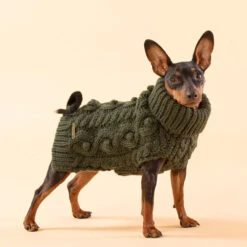 PAIKKA Handmade Knit Sweater 15 PAIKKA Handmade Knit Sweater -Happy Hundchen Geschaft paikka handmade knit sweater green 217735 0500 none
