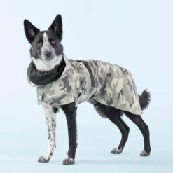 PAIKKA Recovery Raincoat Camo -Happy Hundchen Geschaft paikka recovery raincoat camo 217730 0500 none
