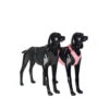 PAIKKA Visibility Harness -Happy Hundchen Geschaft paikka visibility harness 217813 0500 none