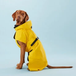 PAIKKA Visibility Raincoat Lite Yellow 10 PAIKKA Visibility Raincoat Lite Yellow -Happy Hundchen Geschaft paikka visibility raincoat lite yellow 217726 0500 none