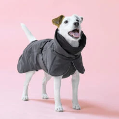 PAIKKA Visibility Winter Jacket -Happy Hundchen Geschaft paikka visibility winter jacket 217796 0500 none