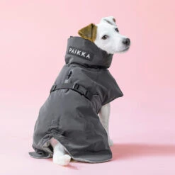 PAIKKA Visibility Winter Jacket -Happy Hundchen Geschaft paikka visibility winter jacket 217797 0500 none