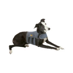 Petlife KarmaWrap Für Hunde 7 Petlife KarmaWrap Für Hunde -Happy Hundchen Geschaft petlife karmawrap hond 154186 0500 none