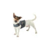 Petlife KarmaWrap Für Hunde 1 Petlife KarmaWrap Für Hunde -Happy Hundchen Geschaft petlife karmawrap hond 154189 0500 none