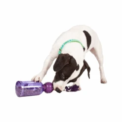 PetSafe Tug-a-Jug -Happy Hundchen Geschaft petsafe tug a jug 216335 0500 none