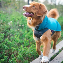 Pomppa Jumppa 15 Pomppa Jumppa -Happy Hundchen Geschaft pomppa jumppa 190573 0500 none