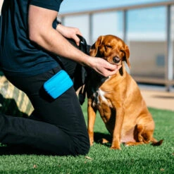 Popware Pooch Pouch Treatbag -Happy Hundchen Geschaft popware pooch pouch treatbag 164698 0500 none