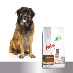 Prins ProCare Croque Lamb & Rice Hypoallergic 8 Prins ProCare Croque Lamb & Rice Hypoallergic -Happy Hundchen Geschaft prins procare croque lamb rice hypoallergic 171316 0500 none