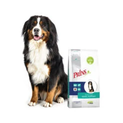 Prins ProCare Croque Renal Support 9 Prins ProCare Croque Renal Support -Happy Hundchen Geschaft prins procare croque renal support 171433 0500 none
