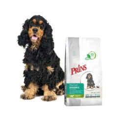 Prins ProCare Grainfree Sensible Hypoallergic 8 Prins ProCare Grainfree Sensible Hypoallergic -Happy Hundchen Geschaft prins procare grainfree sensible hypoallergic 171538 0500 none