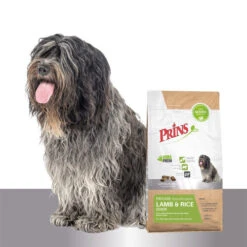 Prins ProCare Lamb & Rice Senior Hypoallergenic -Happy Hundchen Geschaft prins procare lamb rice senior hypoallergenic 171712 0500 none