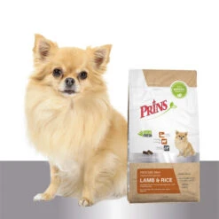 Prins ProCare Mini Lamb & Rice Hypoallergenic -Happy Hundchen Geschaft prins procare mini lamb rice hypoallergenic 171730 0500 none