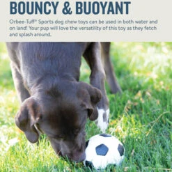 Planet Dog Orbee-Tuff Soccer Ball -Happy Hundchen Geschaft prod 14590 203615 0500 none