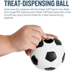 Planet Dog Orbee-Tuff Soccer Ball -Happy Hundchen Geschaft prod 14590 203618 0500 none