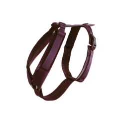 Kentucky Dog Harness Active Velvet 16 Kentucky Dog Harness Active Velvet -Happy Hundchen Geschaft prod 15744 218988 0500 none