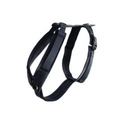 Kentucky Dog Harness Active Velvet 18 Kentucky Dog Harness Active Velvet -Happy Hundchen Geschaft prod 15744 218993 0500 none