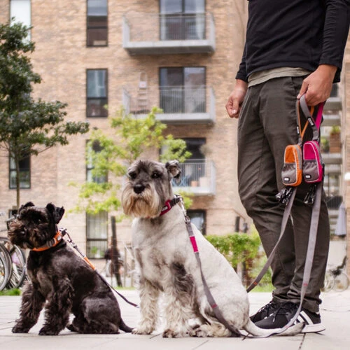 DOG Copenhagen Urban Trail Leine 4 DOG Copenhagen Urban Trail Leine – Bild 2