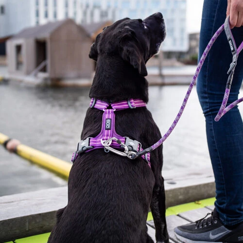 DOG Copenhagen Urban Rope Leine 9 DOG Copenhagen Urban Rope Leine – Bild 7