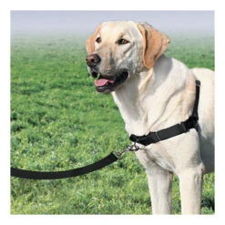 PetSafe Easywalk Trainigsgeschirr -Happy Hundchen Geschaft product easywalk tuigje none 4 1477994349 79564
