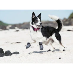 Hurtta Hundeschuhe Outback 7 Hurtta Hundeschuhe Outback -Happy Hundchen Geschaft product hurtta outback boots none 4 1478786124 80266